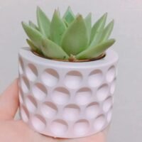 قالب سليكون للكونكريت&حامل شموع