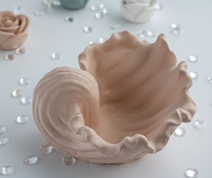 100013941928129.jpg قالب على شكل صدفة