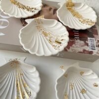 FB_IMG_1725886682913-1.jpg قالب الصدفة