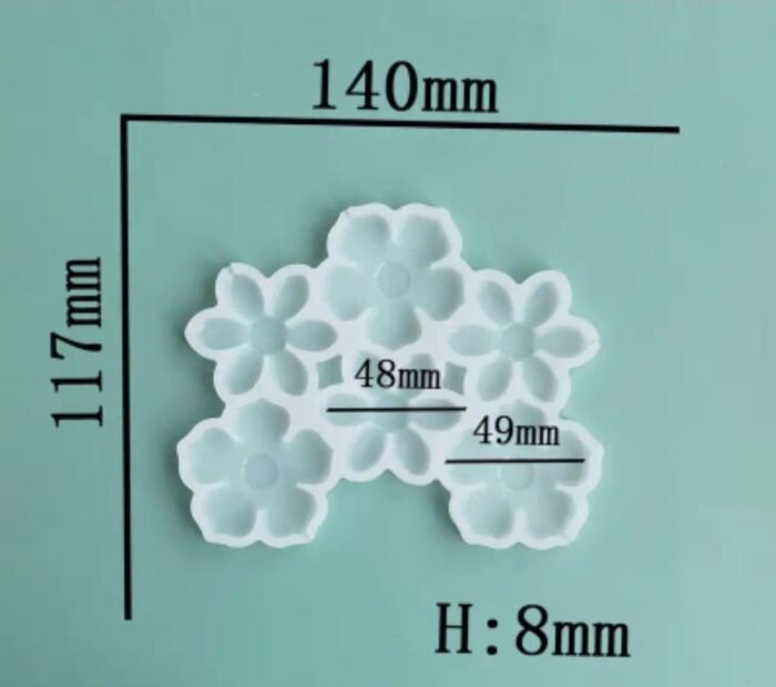 IMG-20240916-WA0012.jpg قالب 6زهرات