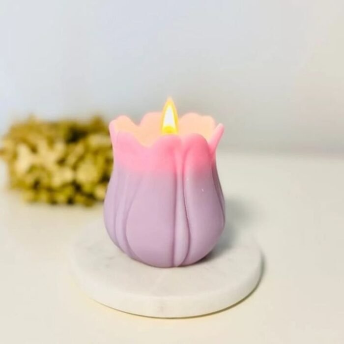 FB_IMG_1732096263532.jpg قالب زهرة توليب