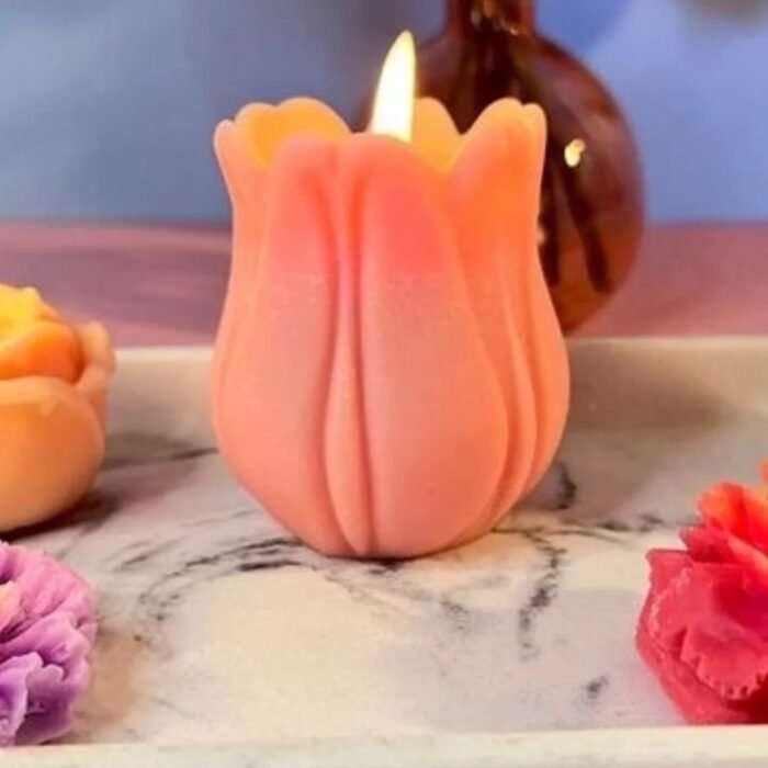 FB_IMG_1732096265768.jpg قالب زهرة توليب