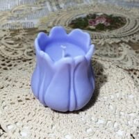 FB_IMG_1732096270422.jpg قالب زهرة توليب