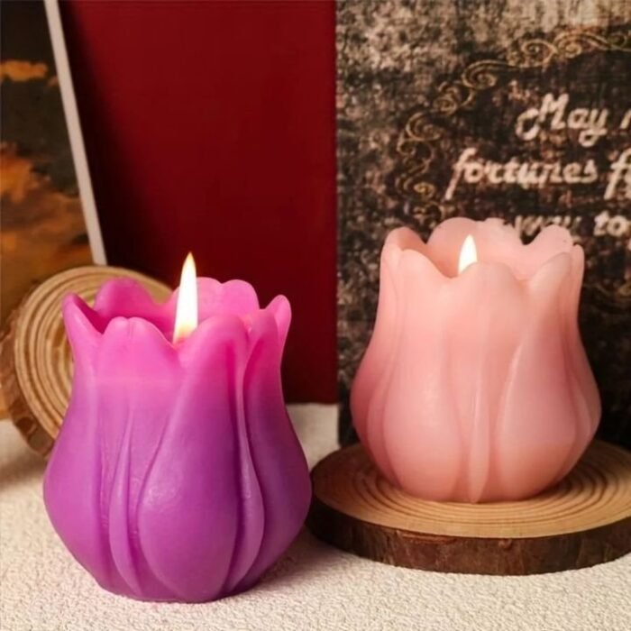 FB_IMG_1732096273118.jpg قالب زهرة توليب