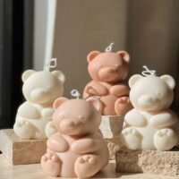 1000007819.jpg.jpg قالب الدبدوب