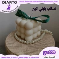 2025/10/1000021806-scaled.jpg قالب بابلي كبير