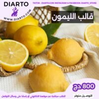 2025/11/1000028093-scaled.jpg قالب الليمون