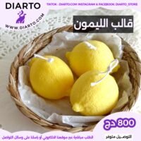 2025/11/1000028097-scaled.jpg قالب الليمون