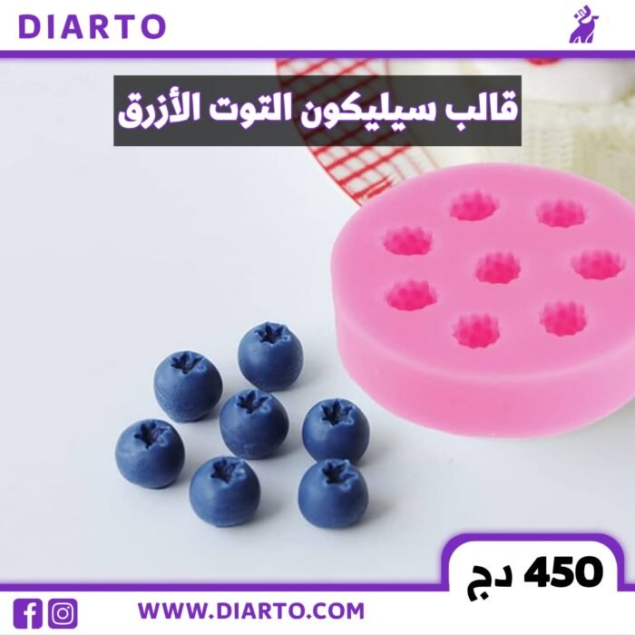 2026/01/10629-scaled.jpg قالب التوت الازرق